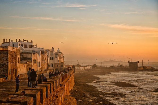 Day Trip From Marrakech To Essaouira - Port Quays: Fishermen, Boats, and Seafood Without the Tourist Trap Energy