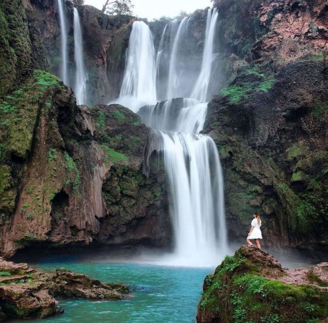 Day trip from Marrakech to Ouzoud Waterfalls - Key Highlights You’ll Care About