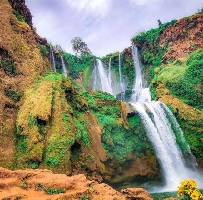 Day trip from Marrakech to Ouzoud Waterfalls - Guide and Driver Quality: Why the Best Part Is the Human Part