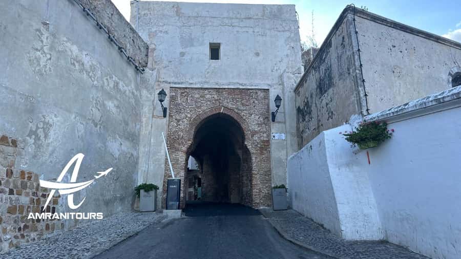 Day trip from Seville to Tangier all inclusive - Markets, Viewpoints, and Photo Stops You Should Actually Use