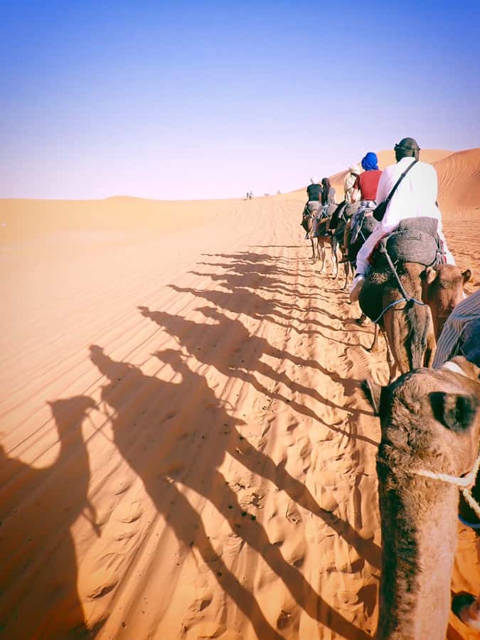 Day trip Marrakech to Essaouira - Key Things to Know Before You Go