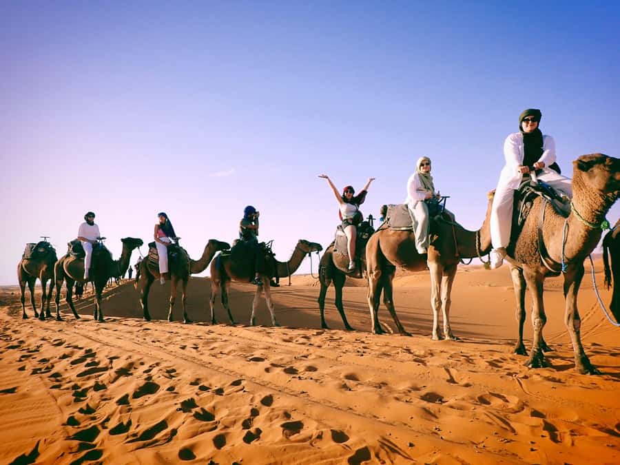 Day trip Marrakech to Essaouira - The Fishing Port: History You Can Taste and See