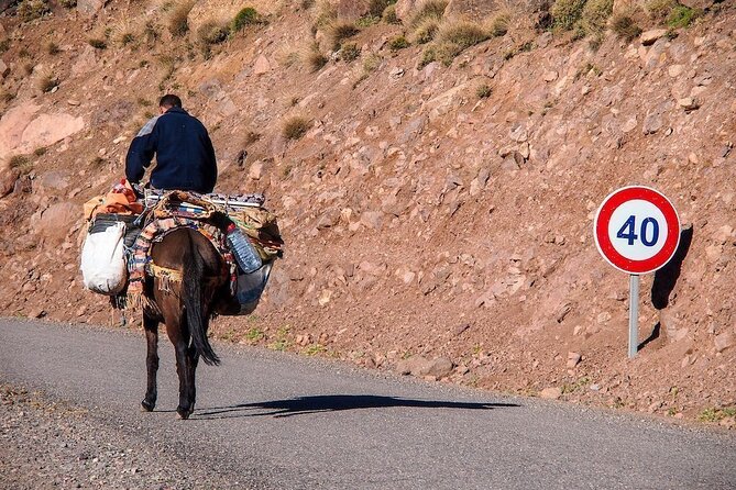 Day trip Ourika waterfall & Berber Villages - When a 6 to 12 hour day actually fits