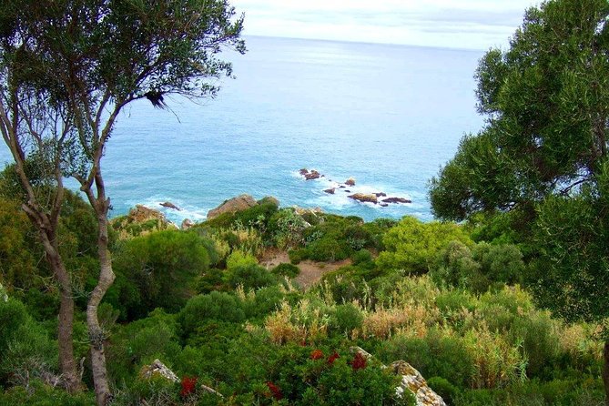 Day Trip to Asilah & Cap Spartel from Tangier - Price and Value: What You’re Paying For