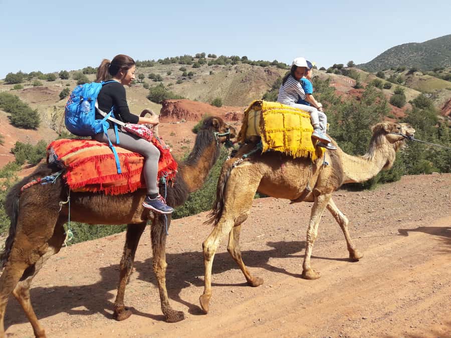Day Trip To Atlas Mountain and Berber Village From Marrakech - Practical tips that make the day smoother