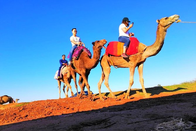 Day trip to Atlas Mountains and 4 Valley with Camel ride from Marrakech - The drive to Imlil, Asni, and Amizmiz: the scenery you’ll actually see
