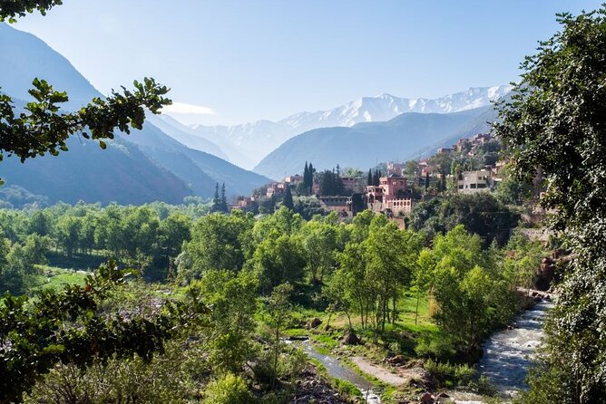 Day Trip to Atlas Mountains and Berber Villages - Key Points You’ll Care About