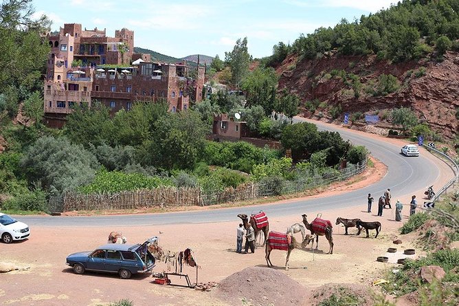 Day trip to Atlas Mountains Ourika Valley and Berber Villages - Why This Atlas Mountains Day Trip Works So Well From Marrakech