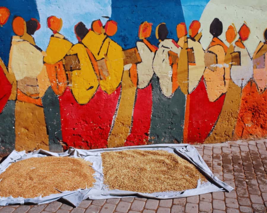 Day Trip to El Jadida from Marrakech - Who This Day Trip Suits Best (and who should consider alternatives)