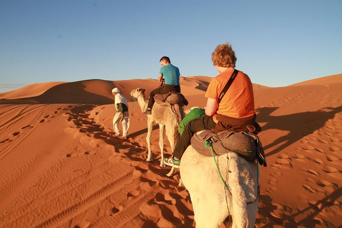 Day Trip to Erg Chigaga Dunes from Zagora - Key things to know before you go