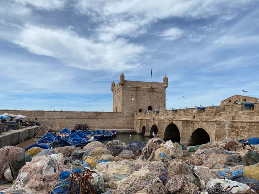 Day trip to Essaouira - Camel ride or old Jewish quarter: choosing what fits your interests