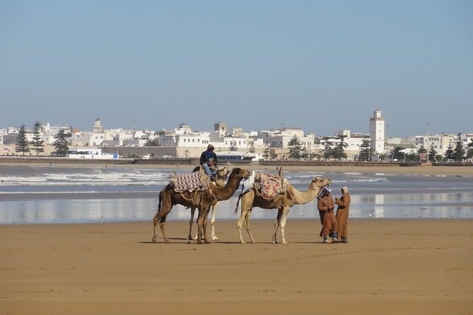 Day trip to Essaouira - Essaouira in one day for around $11: is it good value?