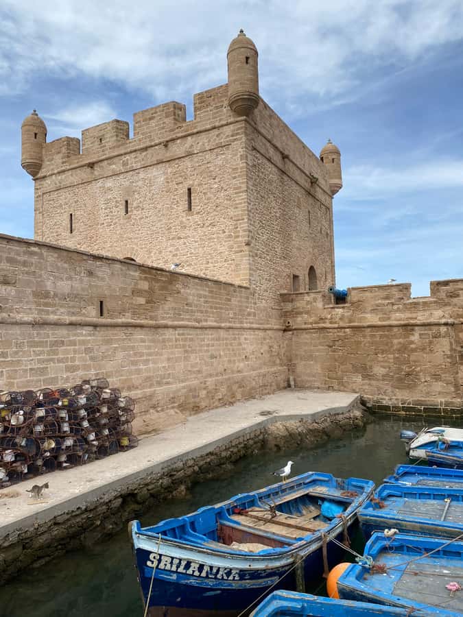 Day trip to Essaouira - Where to eat: fresh fish without turning it into a search mission
