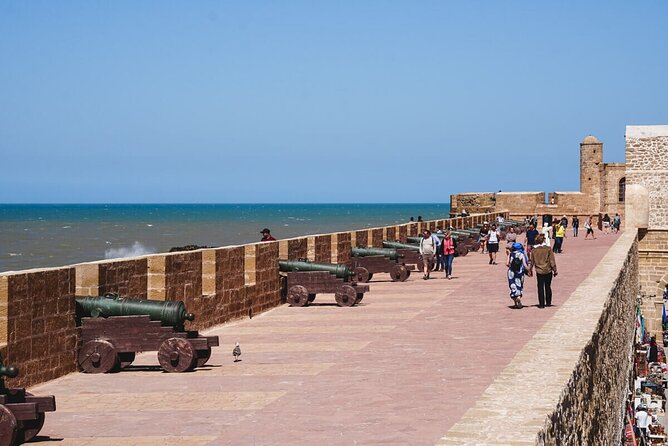 Day Trip To Essaouira From Marrakech - Afous Argan stop: learning argan oil without making it weird