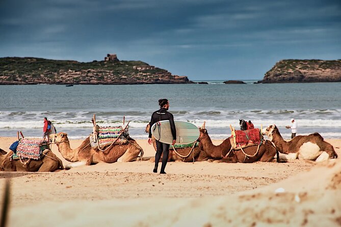 Day Trip To Essaouira From Marrakech - Arriving in Essaouira: medina, souks, and the pace you actually want
