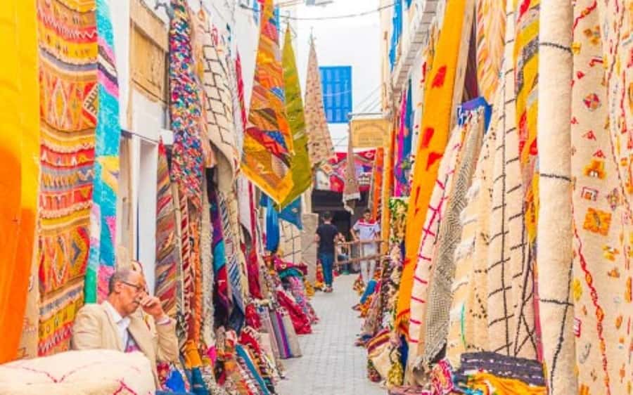 DAY TRIP TO ESSAOUIRA FROM MARRAKECH - Argon oil association stop: valuable access or time squeeze