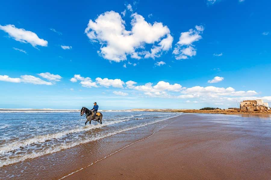Day Trip To Essaouira From Marrakech With Guide - The Mellah: a quieter stop that adds depth