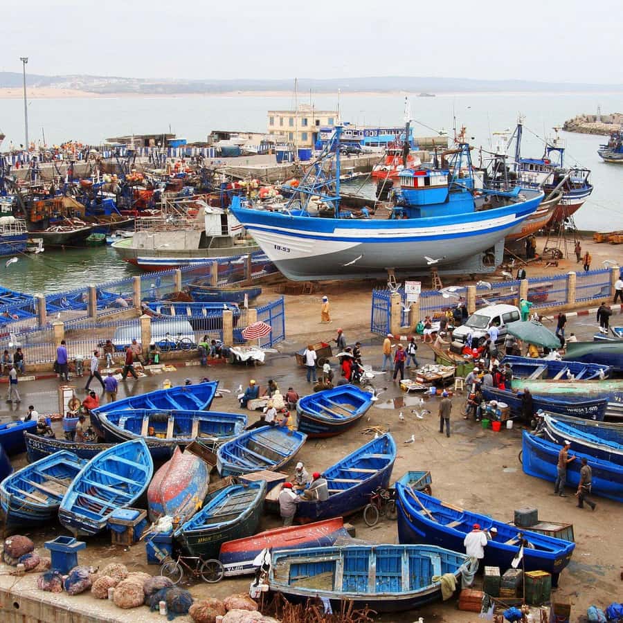 Day Trip To Essaouira From Marrakech With Guide - Marrakech to Essaouira: how the day actually feels (and why that matters)