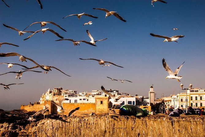 DAY TRIP TO ESSAOUIRA FROM MARRAKECH - Arriving around 12:30: first steps in Essaouira’s old town