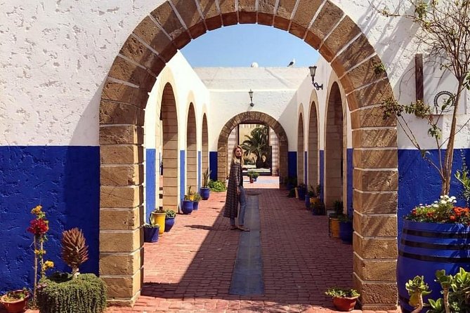 Day trip to Essaouira the portuguese town from Agadir or Taghazout - Fishing port energy: see the working side of the city