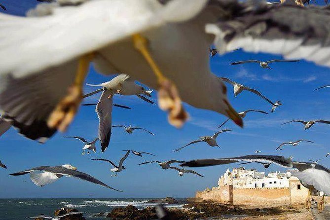 Day trip to Essaouira the portuguese town from Agadir or Taghazout - Jewish Quarter and the human map of Mogador