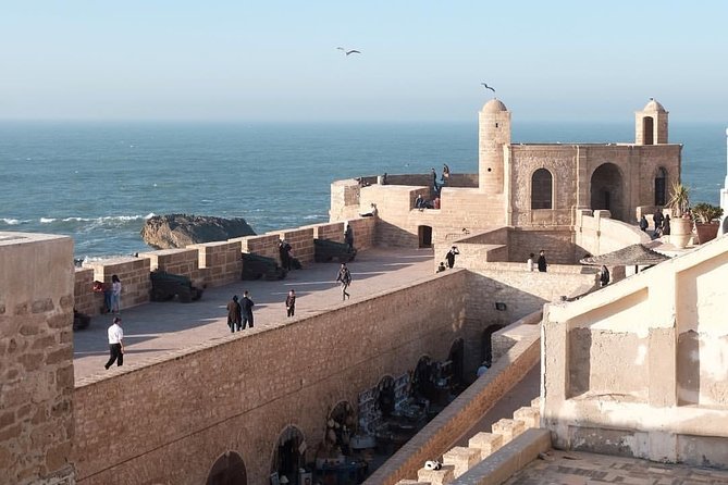 Day trip to Essaouira the portuguese town from Agadir or Taghazout - Getting to Essaouira: panoramic stops, flying goats, and argan oil