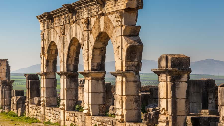 Day trip to meknes ,volubilis , moulay idris - Volubilis Roman ruins: walking the mosaics you came for