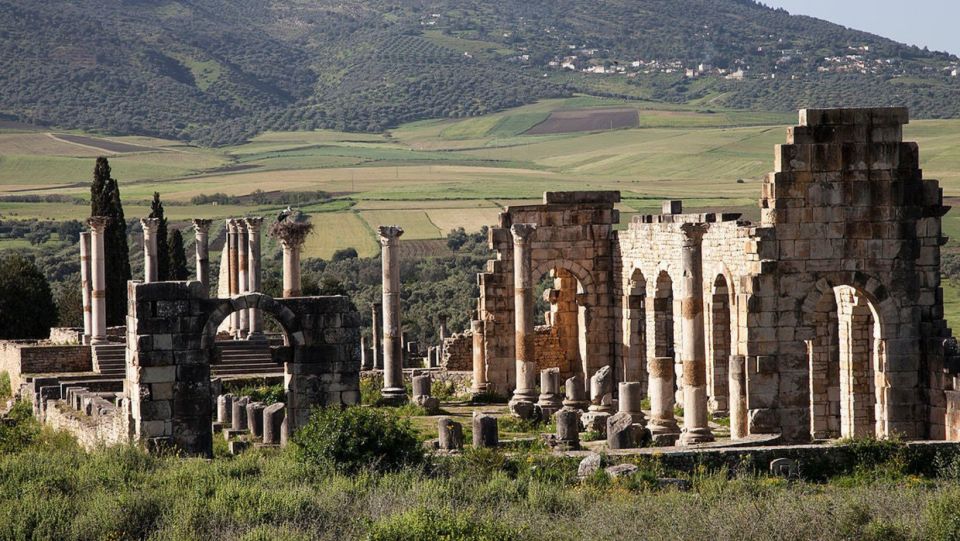 Day trip to meknes ,volubilis , moulay idris - Who this trip is best for (and who should pick something else)