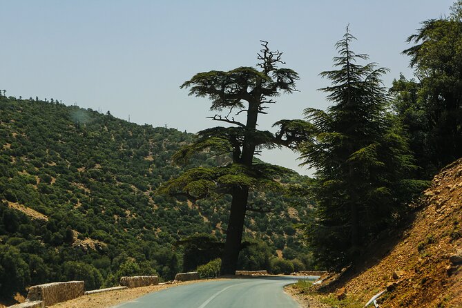 Day Trip to Middle Atlas Mountain and Berber Villages from Fes - Key Highlights Worth Marking on Your Map