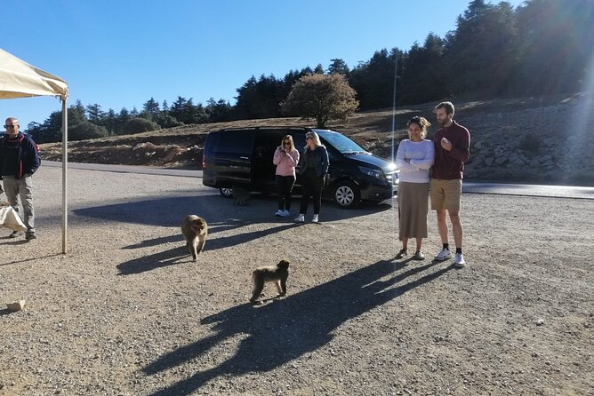 Day Trip to Middle Atlas Mountain and Berber Villages from Fes - Azrou: Monkeys, Crafts, and the Best Kind of Stop-and-Smell the Air