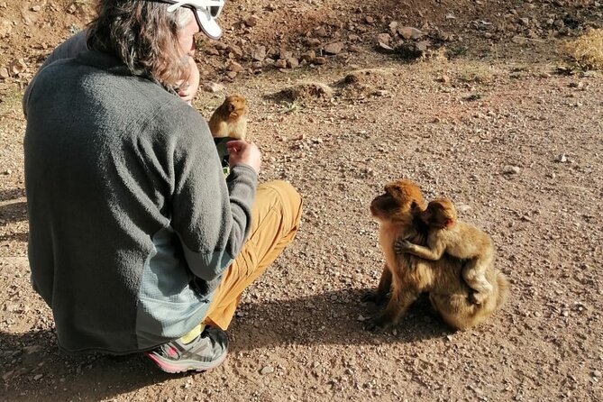 Day Trip to Middle Atlas Mountain and Berber Villages from Fes - Price, Time, and Comfort: What You’re Paying For