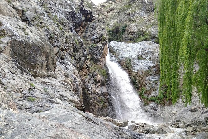 Day Trip to Ourika Valley and Atlas Mountains - Key Highlights at a Glance