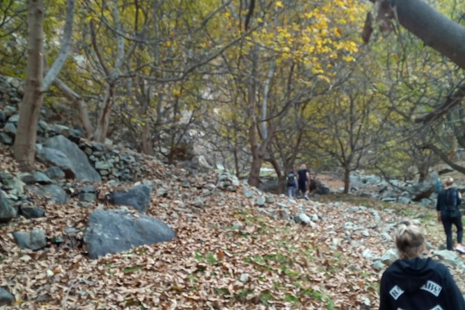 Day Trip to Ourika Valley and Atlas Mountains - The Waterfall Walk: What to Expect on the Trail