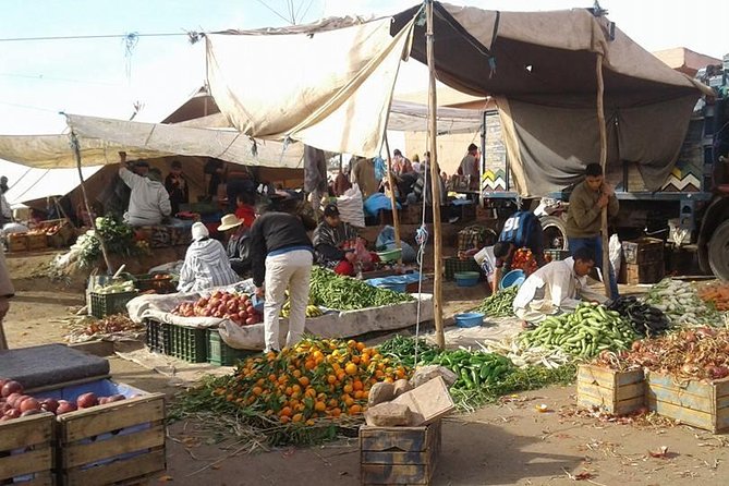day trip to ourika valley and atlas mountains from marrakech - The Berber home stop: mint tea, family hospitality, and what to ask