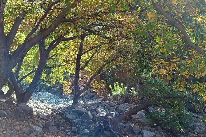 Day Trip to Ourika Valley and Atlas Mountains - Getting There From Marrakech (and Why the Ride Matters)