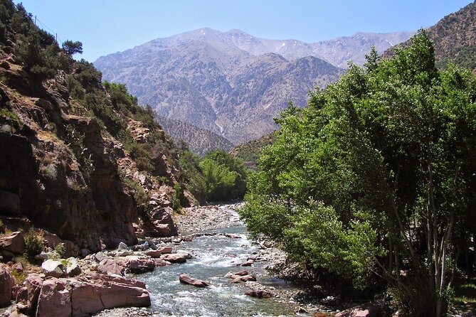 Day Trip to Ourika Valley & Atlas Mountains from Marrakech - Setti Fatma and the 7 Cascades: trails, viewpoints, and time to cool off