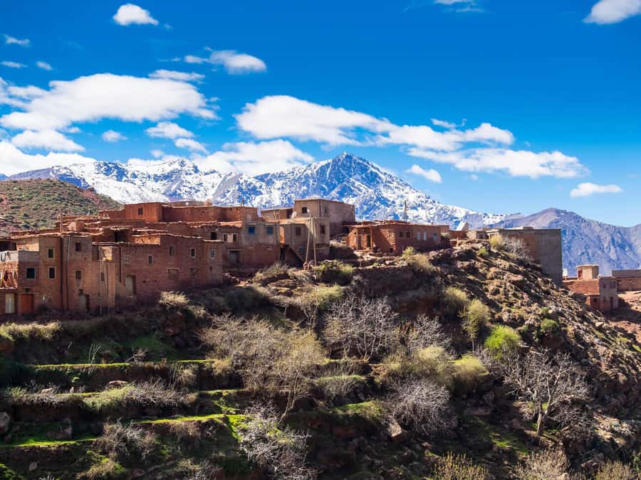 Day Trip to Ourika Valley & Atlas Mountains with Lunch - Practical tips to make your day smoother