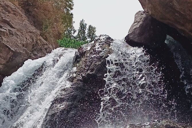 Day Trip to Ourika Valley from Marrakech - Key highlights you’ll actually feel