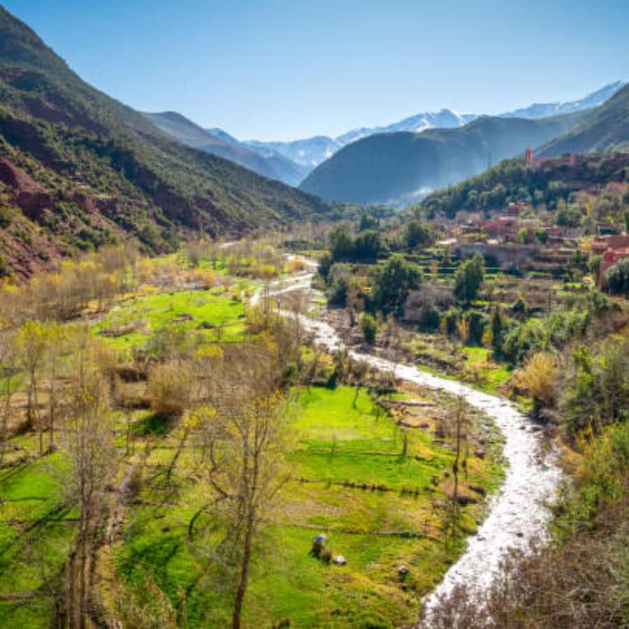 Day trip to ourika valley from marrakech with a group - Road to the High Atlas: how the day starts right