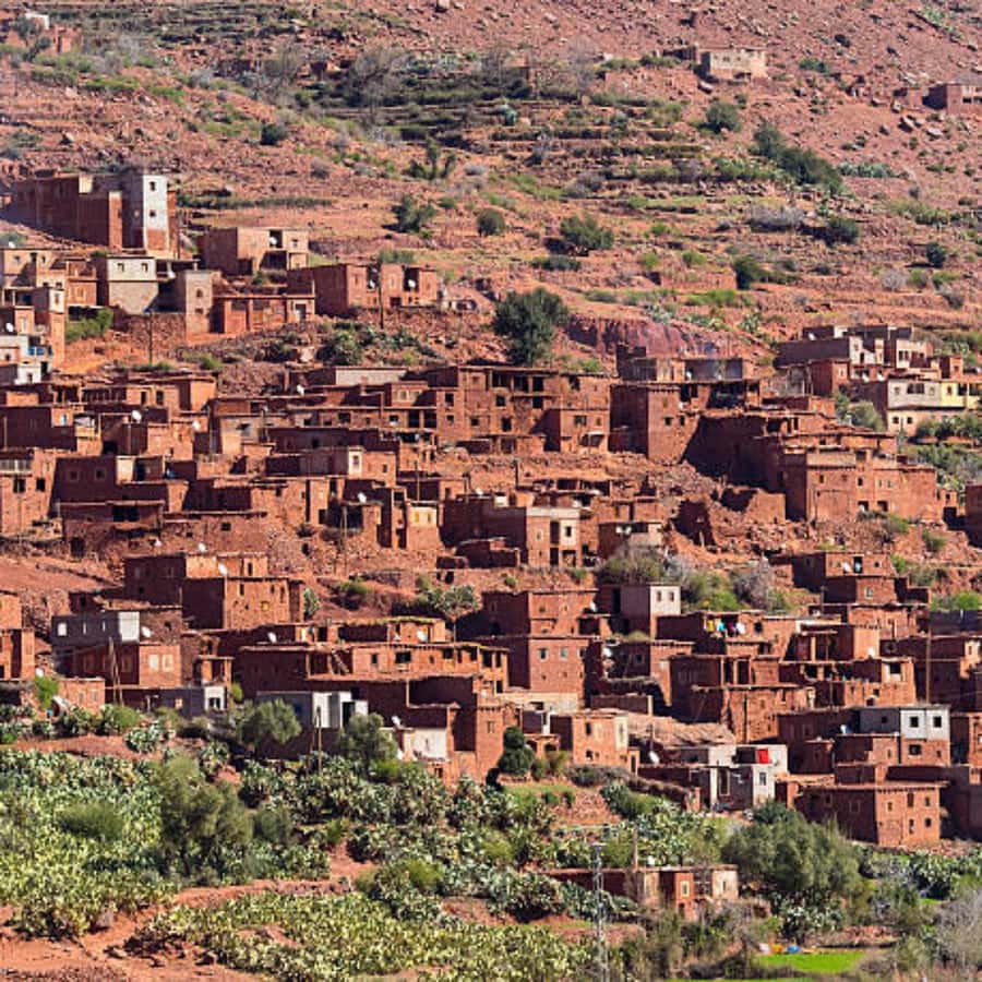 Day trip to ourika valley from marrakech with a group - Argan oil factory visit: useful context, not just a stop