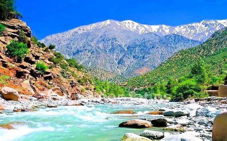 Day trip to Ourika valley lunch + guid + activité included - Berber house breakfast: the cultural start that changes how you see everything next