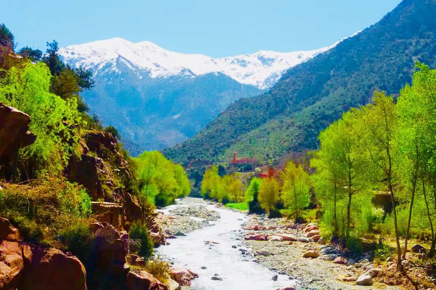 Day trip to Ourika valley lunch + guid + activité included - Riverside lunch: vegetarian options and a calm finish after the walk