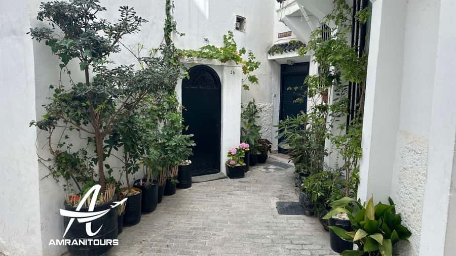 Day trip to Tangier Morocco from Malaga All inclusive - Who makes the day feel easy: guides Abu, Yasmin, and Mohammad