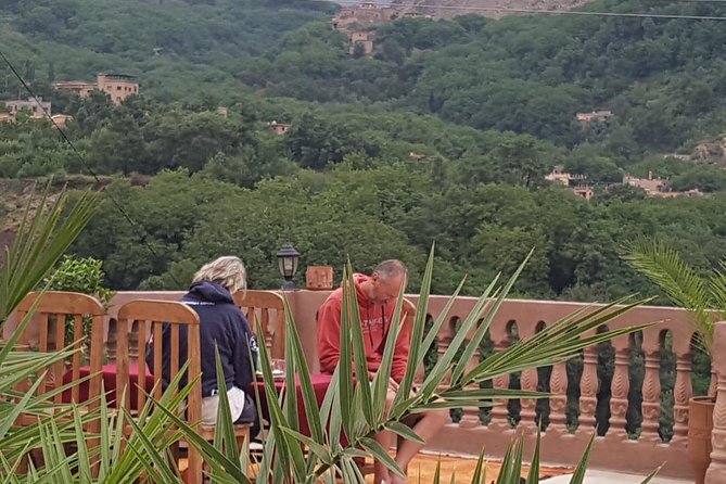Day Trip To The Atlas Mountains & Camel Ride - Morning Drive: Argan Oil Co-op and Asni Souk Time