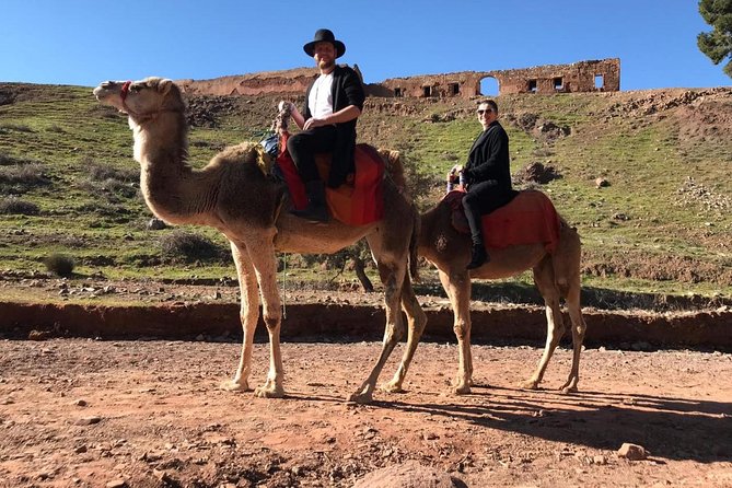 Day Trip to the High Atlas & camel ride - Key Highlights You’ll Actually Remember