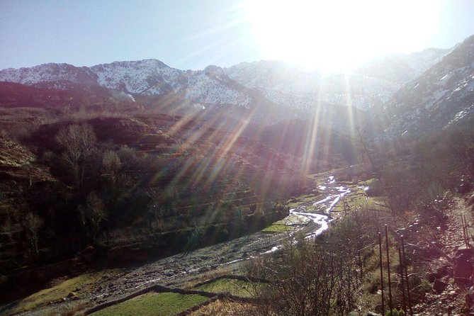 Day Trip to the High Atlas & camel ride - Price and Logistics: Why $24.66 Can Still Feel Like a Bargain