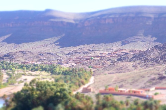 Day trip to visit Ouarzazate - Price and Logistics: What $145.24 Buys You