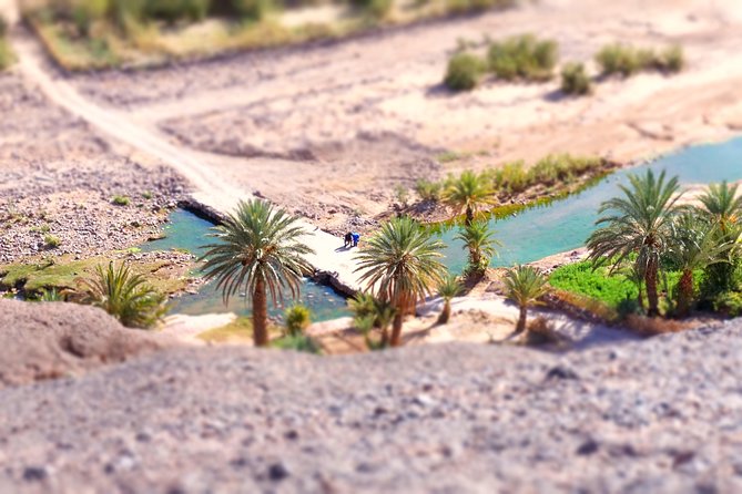 Day trip to visit Ouarzazate - Who Should Book This Ouarzazate Day Trip?