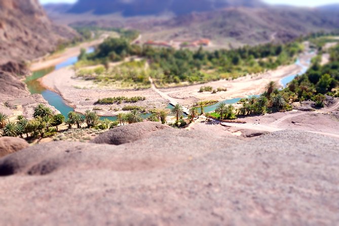 Day trip to visit Ouarzazate - Should You Book This Tour?