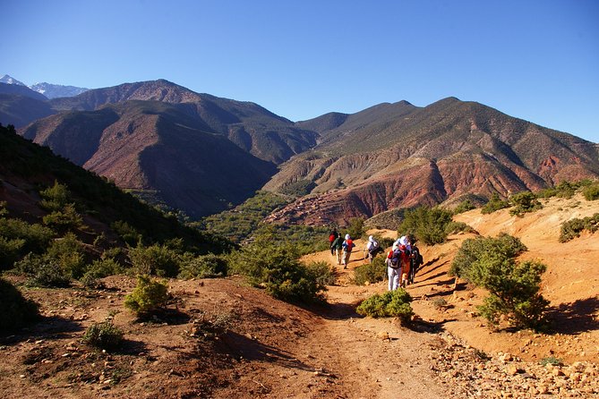 Day Trip:Berber Villages and 4 Valleys Atlas Mountains &Waterfu l& camel Ride - Price ($28.23) and Value: What You Get for a Full Day